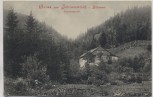 AK Gruss aus Johannisbad in Böhmen Klausengrund mit Haus Janské Lázně Tschechien 1907