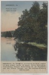 AK Ebersbach in Sachsen Partie am neuen Teich mit Insel 1910