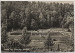 VERKAUFT !!!   AK Foto Kemnitz über Löbau Sachsen Waldbad viele Menschen b. Bernstadt a. d. Eigen 1960