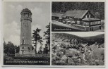 AK Foto Bismarckturm Eulenbaude Euldörfel b. Peterswaldau Pieszyce Schlesien Polen 1935