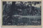 AK Gruß aus Ochsensaal Partie am krummen Teich b. Dahlen Sachsen 1923