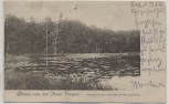 AK Gruss von der Insel Rügen Schwarzer See zwischen Sellin und Binz 1905