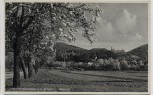 AK Foto Seeheim Jugenheim an der Bergstraße Blütezeit Ortsansicht 1940