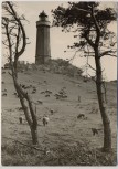 AK Foto Insel Hiddensee Leuchtturm am Dornbusch Ostsee 1966