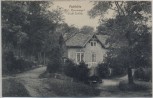 AK Großsedlitz Kgl. Kammergut Gasthof Pechhütte b. Heidenau 1910