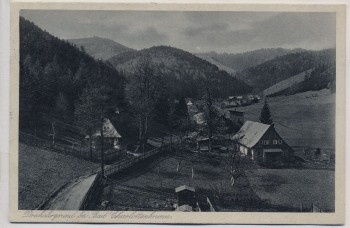AK Drechslergrund bei Bad Charlottenbrunn Jedlina-Zdrój Schlesien Polen 1931