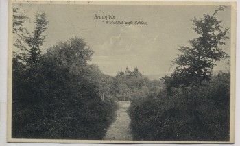 AK Braunfels Waldblick auf das Schloß 1914