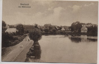 AK Bredstedt Am Mühlenteich Schleswig-Holstein 1910