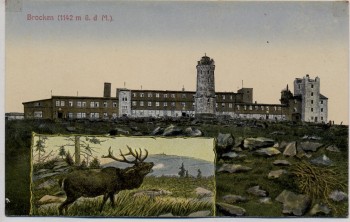 AK Brocken mit Hirsch b. Schierke Wernigerode 1910
