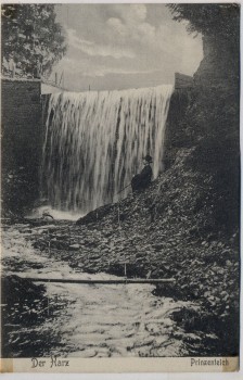 AK Der Harz Prinzenteich b. Clausthal-Zellerfeld 1907