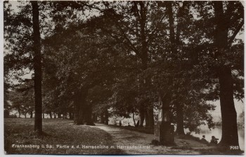 AK Foto Frankenberg in Sachsen Partie an der Harraseiche mit Harrasdenkmal 1929 RAR