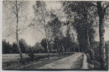VERKAUFT !!!   AK Hankensbüttel Weg von Emmen nach Wunderbüttel 1907