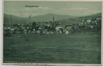 AK Waldmünchen Ortsansicht 1920
