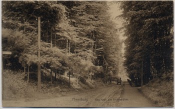 AK Flensburg Weg nach der Kupfermühle 1911 RAR
