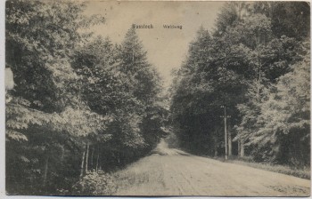 AK Vossloch Waldweg bei Barmstedt Bokholt-Hanredder 1917