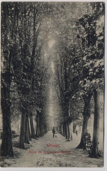 AK Wilster Allee im Colosseumgarten mit Menschen 1907 RAR