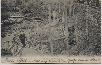 VERKAUFT !!!   AK Zeitz Partie im Knittelholz mit Menschen 1906