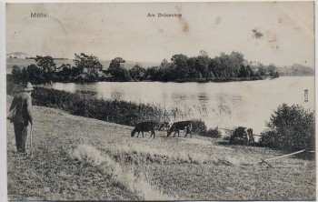 AK Mölln Lauenburg Am Drüsensee 1907
