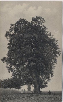 AK Hořiněves bei Hradec Králové Schlachtfeld bei Königgrätz 1866 Denkmal des k. u. k. 57. Inf.-Reg. mit 2 Linden Tschechien 1910