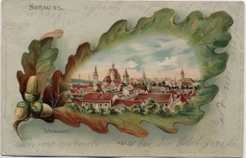 AK Litho Eichelblatt Sorau Żary Ortsansicht Neumark / Ostbrandenburg Polen 1904 RAR