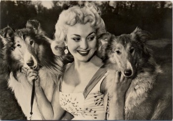 AK Foto Frau mit 2 Collies Peter Steffen Auslandsdienst 1956