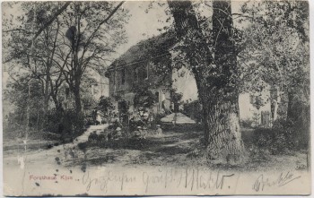 AK Königsborn (Biederitz) Forsthaus Klus Jerichower Land 1908