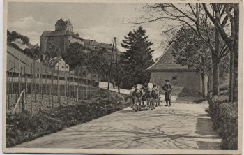 AK Meersburg am Bodensee Blick auf Schloß mit Kühen 1930