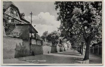 AK Winningen an der Mosel Moselallee 1930