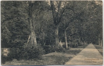 AK Hildburghausen Seufzer-Allee 1910