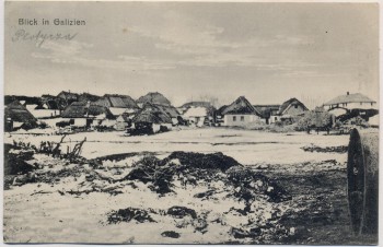 VERKAUFT !!!   AK Płotycza Blick auf Ort Galizien Ukraine 1915
