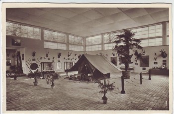 VERKAUFT !!!   AK Foto Dresden Deutsche Kolonial-Ausstellung Die Jagd in den Kolonien Sonderstempel 1939 RAR
