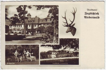 AK Mehrbild Rüdesheim am Rhein Waldhotel Jagdschloß Niederwald 1933