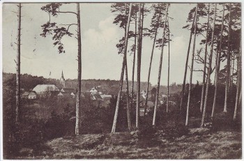 AK Gruß aus der Jerichower Schweiz Magdeburgerforth bei Möckern 1914