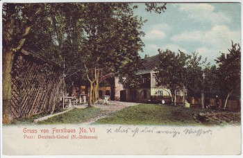 AK Deutsch Gabel Jablonné v Podještědí Gruss von Forsthaus No. 6 Böhmen Tschechien 1907
