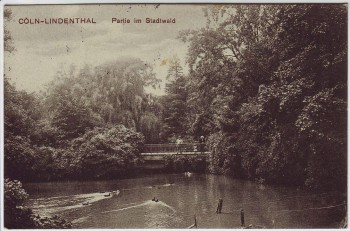 AK Köln Lindenthal Partie im Stadtwald 1913