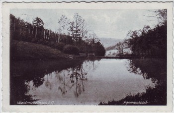 AK Wald-Michelbach im Odenwald Forellenteich 1929
