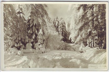 VERKAUFT !!!   AK Foto Kurort Hartha Winterwald bei Tharandt 1960