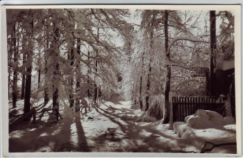 VERKAUFT !!!   AK Foto Kurort Hartha Ansicht im Winter bei Tharandt 1960
