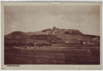AK Amöneburg Ortsansicht 1920