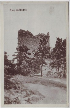 AK Burg Mödling Niederösterreich Österreich 1923
