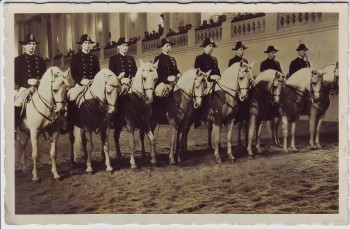AK Foto Wien Spanische Reitschule Lipizzaner mit Reiter 1940