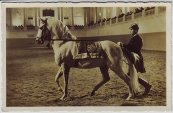 AK Foto Wien Spanische Reitschule Am langen Zügel Lipizzaner Reiter 1940