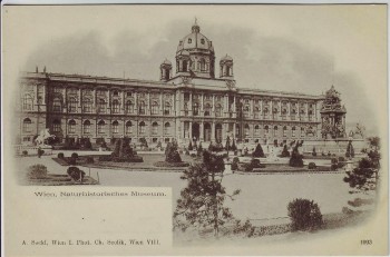 AK Wien Naturhistorisches Museum Österreich 1900