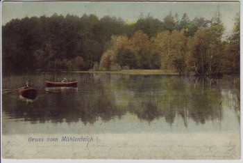 AK Varel in Friesland Gruss vom Mühlenteich 1910