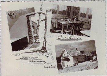 AK Mehrbild Thurmansbang Pension Söldenwagner Bayerischer Wald 1960