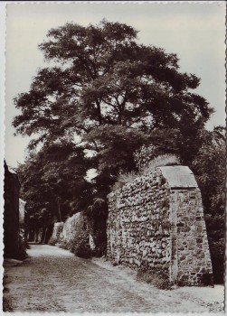 AK Foto Bernau bei Berlin An der Stadtmauer 1976