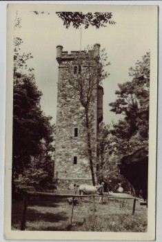 AK Foto Suhl Gaststätte auf dem Domberg Thüringen 1955