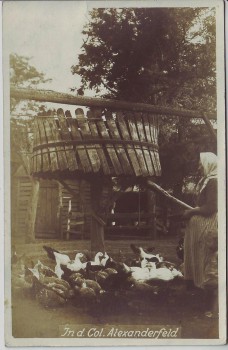 AK Foto Beresanka Березанка deutsche Einwanderer Kolonie Beresan Alexanderfeld Bauernhof Ukraine 1910 RAR