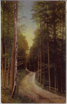 AK Sorau Żary Todestalweg Sorauer Wald Neumark / Ostbrandenburg Polen 1914 RAR