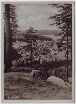 AK Tanne (Harz) Ortsansicht bei Oberharz am Brocken 1950